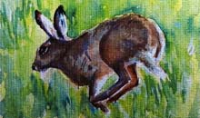 Hare on the Move watercolour, 20 x 50cm