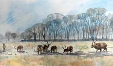 Stags in the Park 20x64